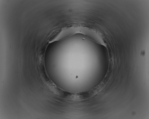 X0000092210276200710051143