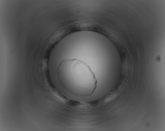 X0000092210278200710051143