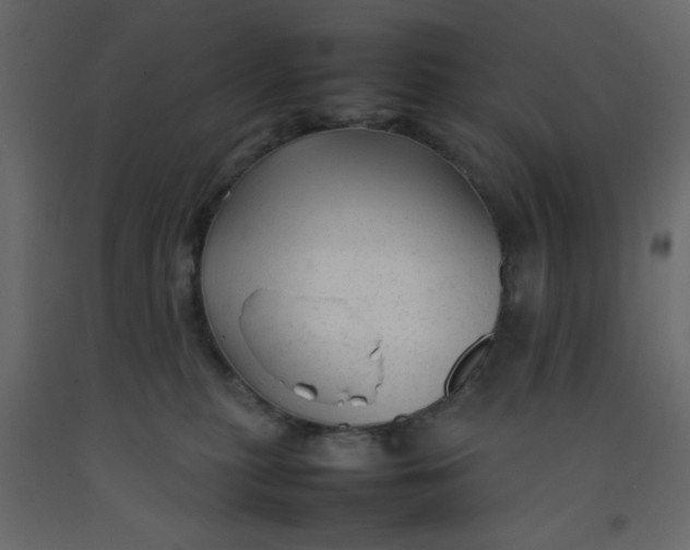 X0000092210279200710051143