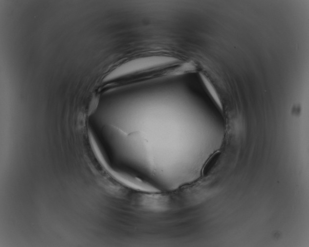 X0000092210281200710051143