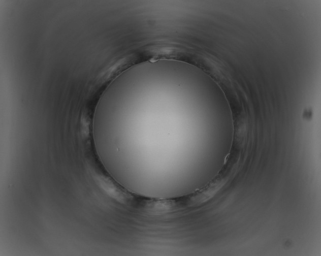 X0000092210282200710051143