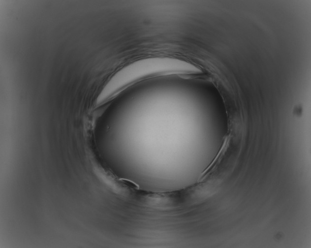 X0000092210284200710051143