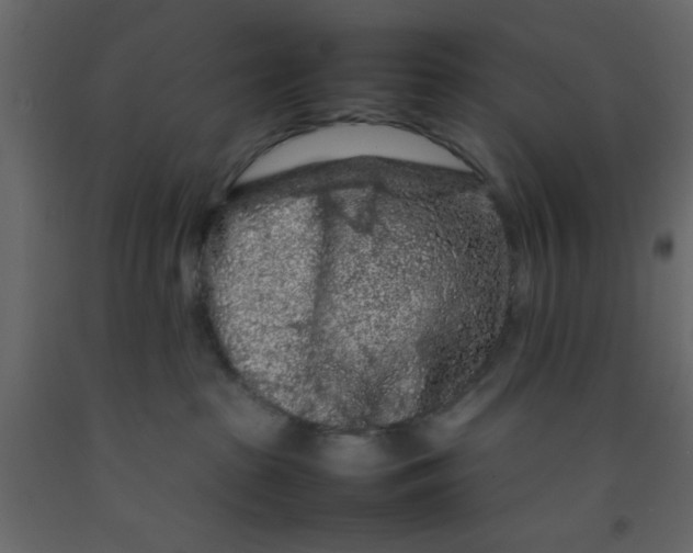 X0000092210285200710051143