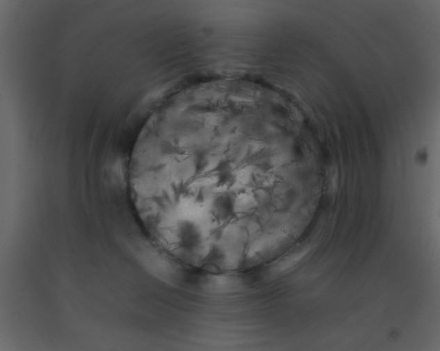 X0000092210286200710051143