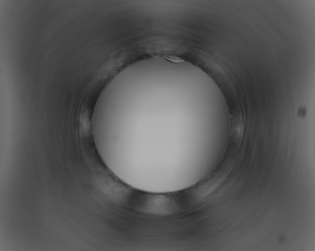 X0000092210287200710051143