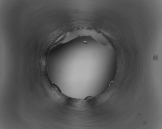 X0000092210288200710051143