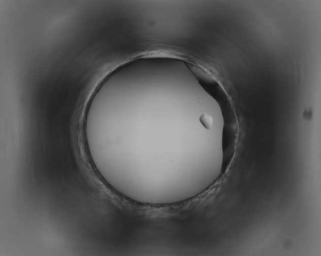 X0000092210289200710051142