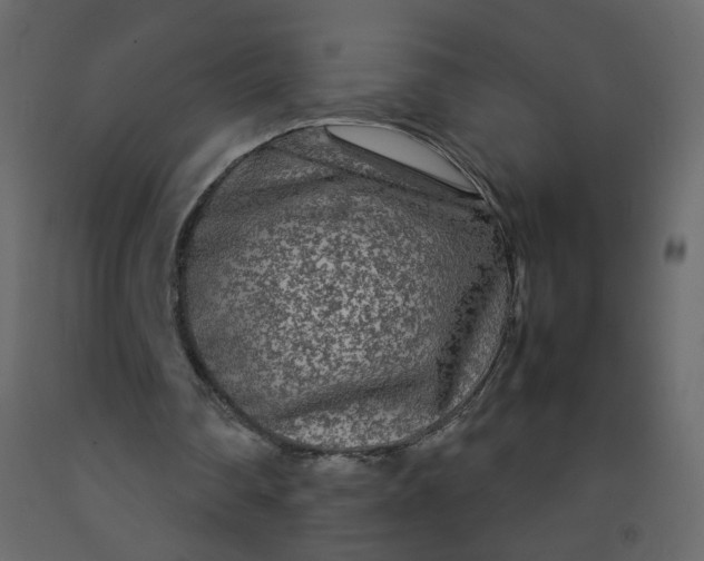 X0000092210290200710051142