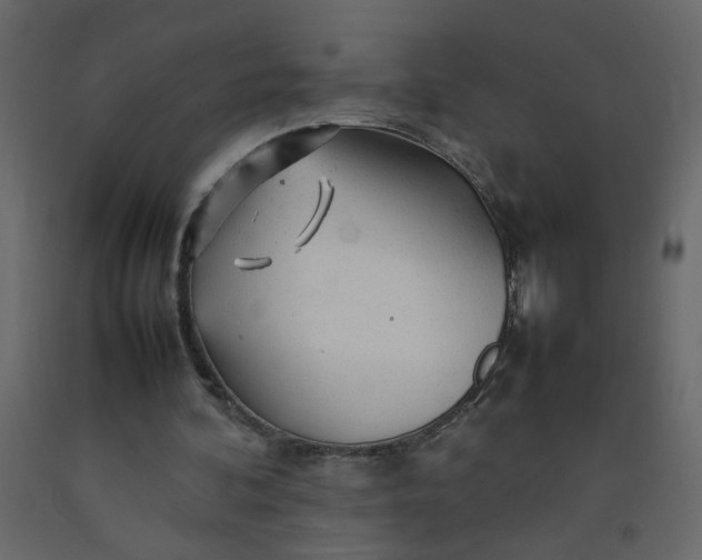 X0000092210292200710051142