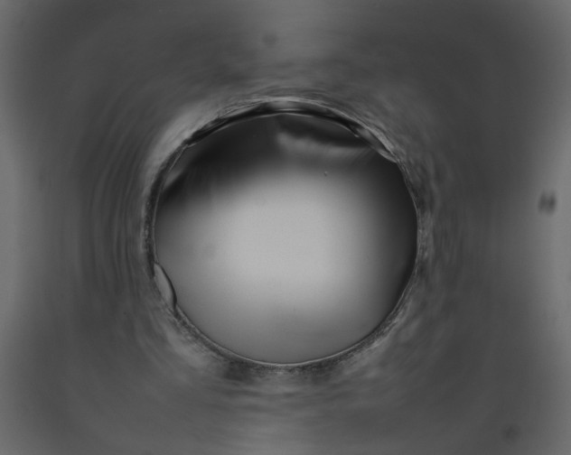 X0000092210293200710051142