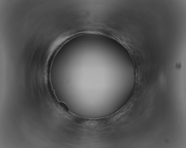 X0000092210294200710051142