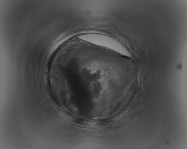 X0000092210295200710051142