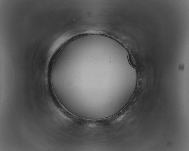 X0000092210296200710051142