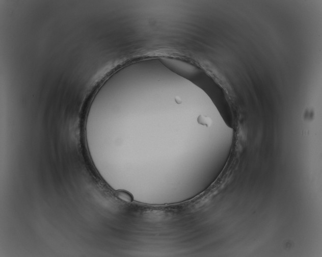 X0000092210298200710051142