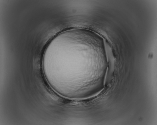 X0000092210299200710051142