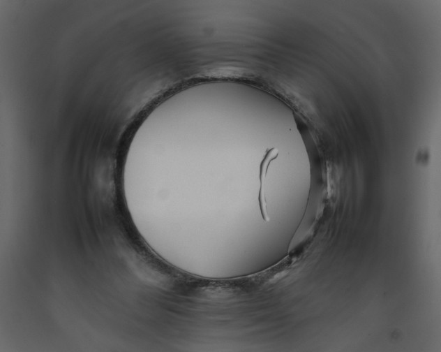 X0000092210300200710051142