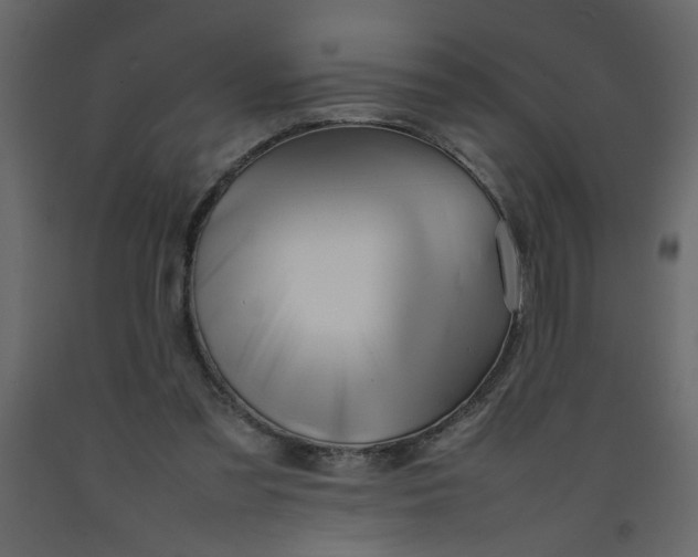 X0000092210301200710051142