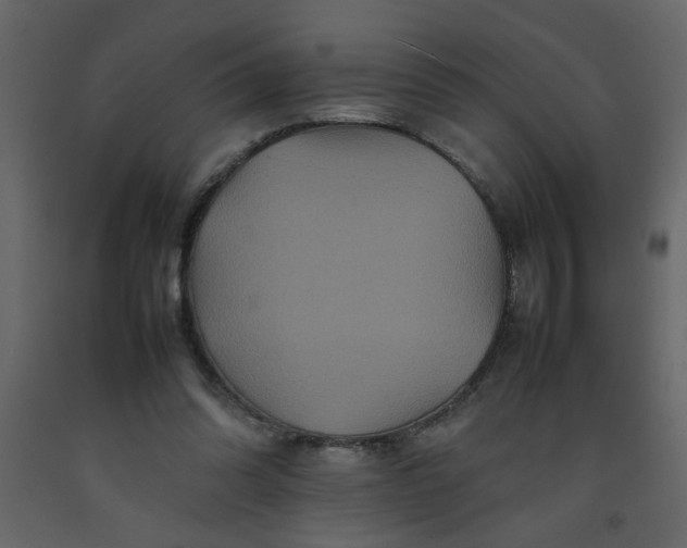 X0000092210302200710051142