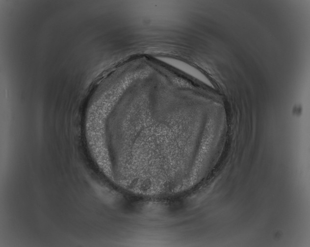 X0000092210303200710051142