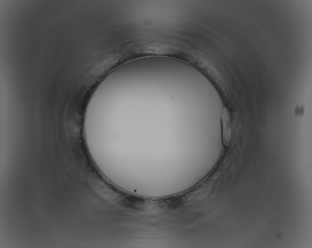 X0000092210305200710051142