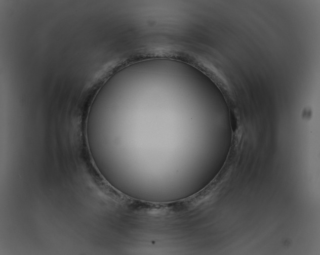 X0000092210306200710051142