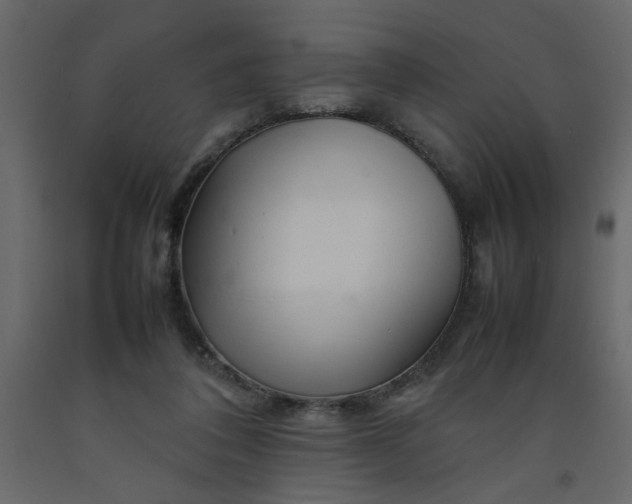 X0000092210308200710051142