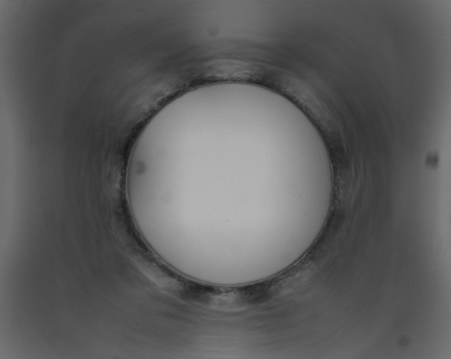 X0000092210309200710051142