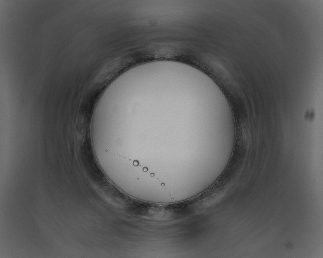 X0000092210311200710051142