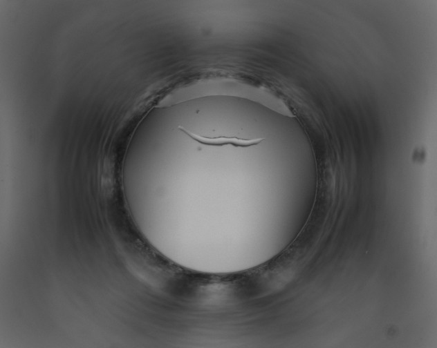 X0000092210312200710051142