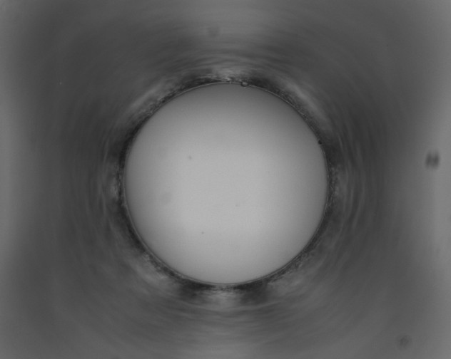 X0000092210313200710051142