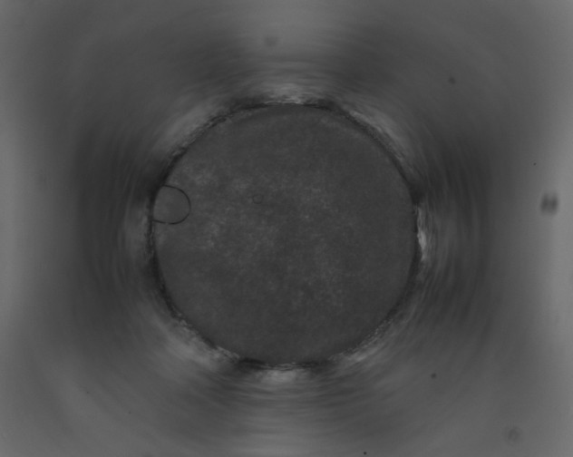 X0000092210314200710051142