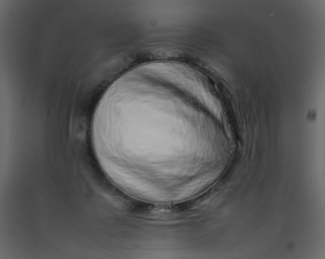 X0000092210315200710051142