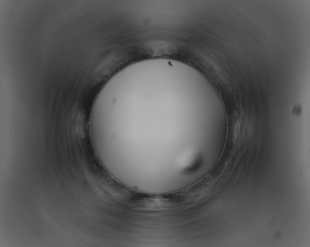 X0000092210316200710051142
