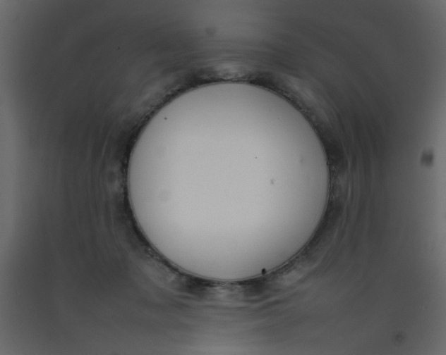 X0000092210317200710051142