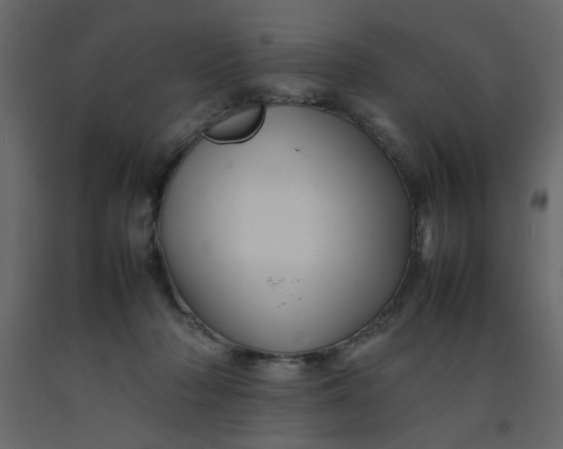 X0000092210318200710051142