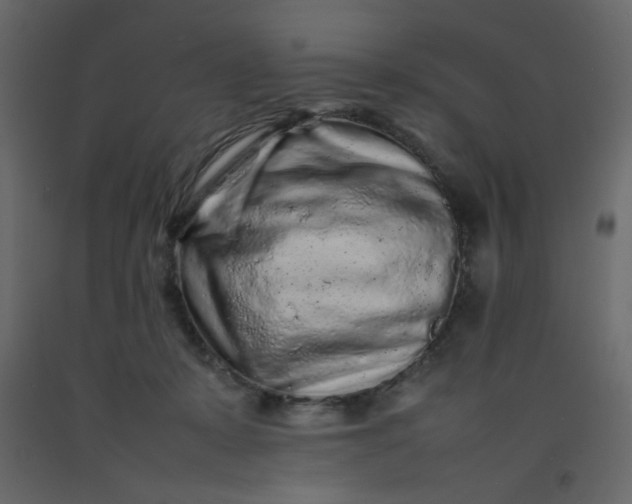 X0000092210319200710051142