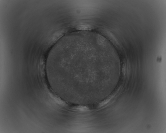 X0000092210322200710051142
