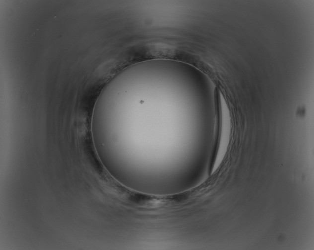 X0000092210323200710051142