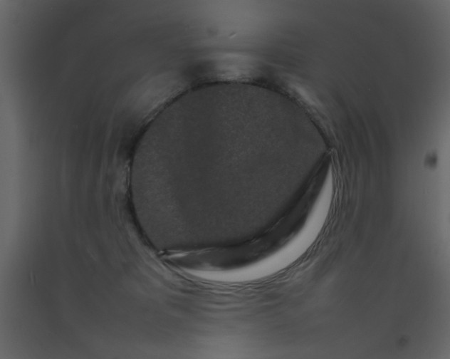 X0000092210325200710051142
