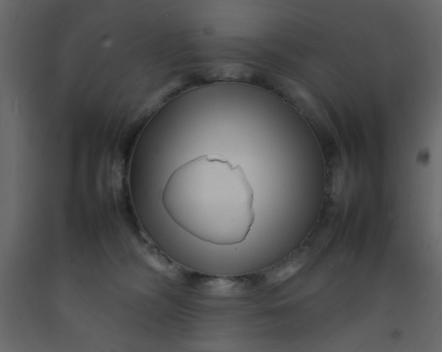 X0000092210326200710051142