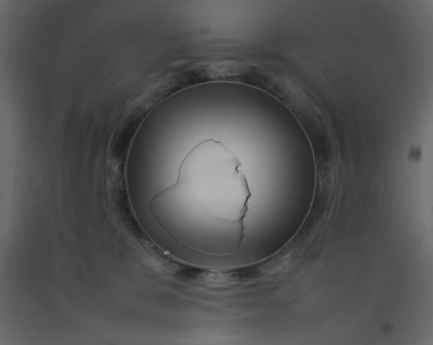 X0000092210327200710051142