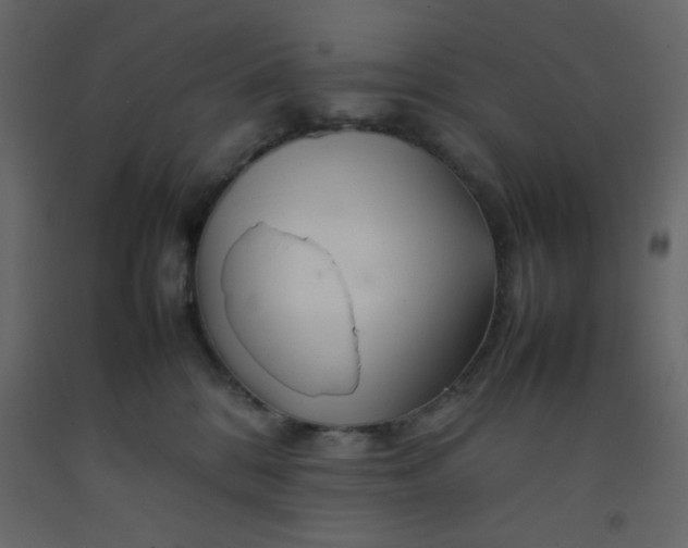 X0000092210328200710051142