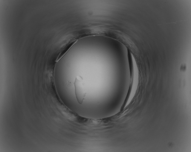 X0000092210329200710051142