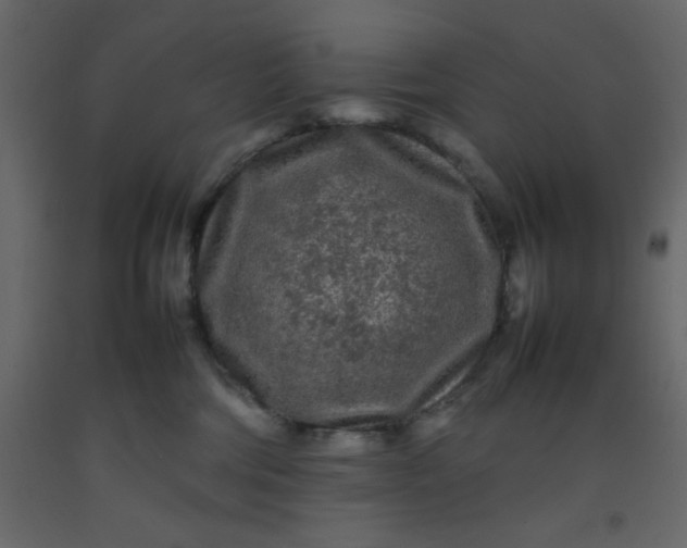 X0000092210330200710051142