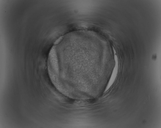 X0000092210331200710051142