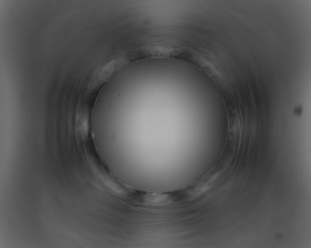 X0000092210334200710051142