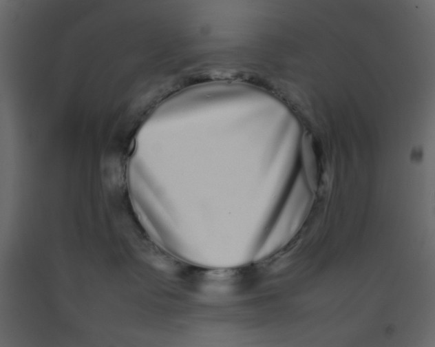 X0000092210335200710051142