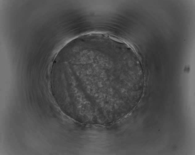 X0000092210337200710051141