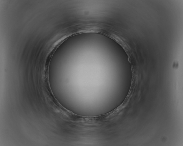 X0000092210338200710051141