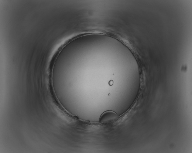 X0000092210342200710051141